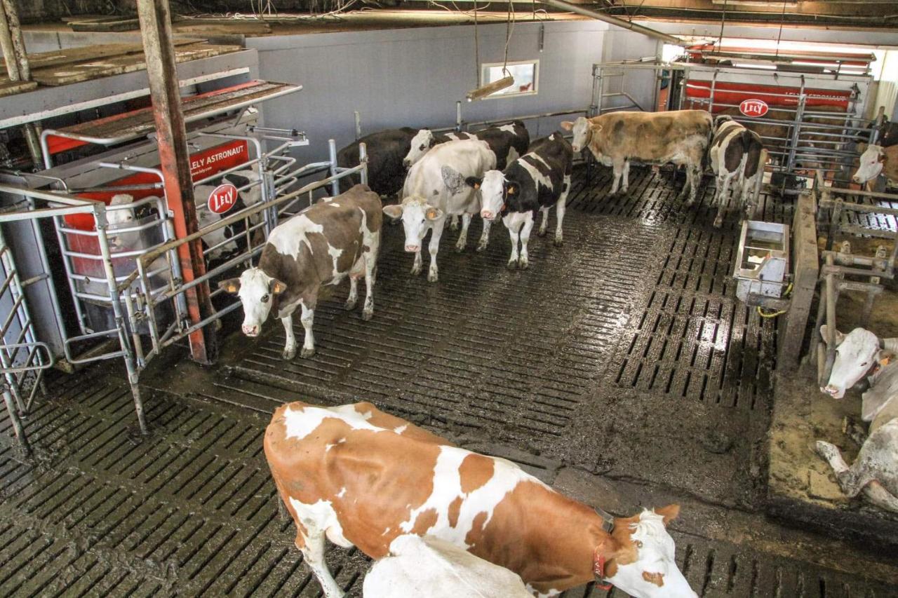 Gite A La Ferme Rouvroy Exterior foto